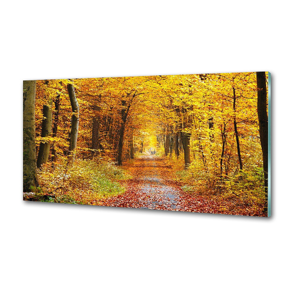 Dekoračný panel sklo Jesenný les