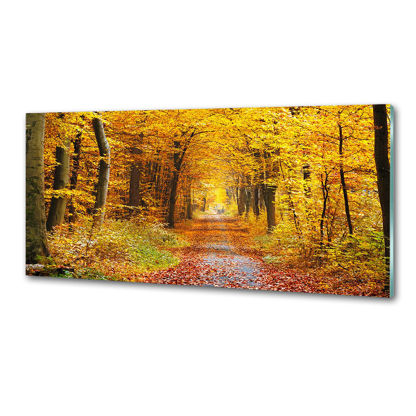Dekoračný panel sklo Jesenný les
