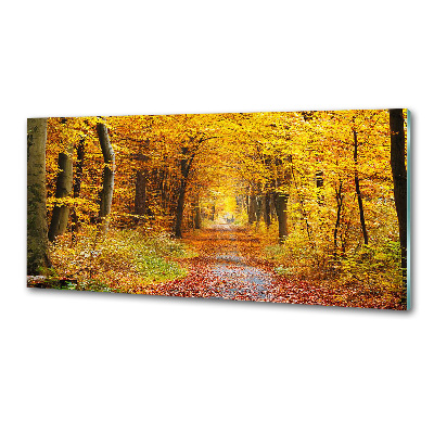 Dekoračný panel sklo Jesenný les