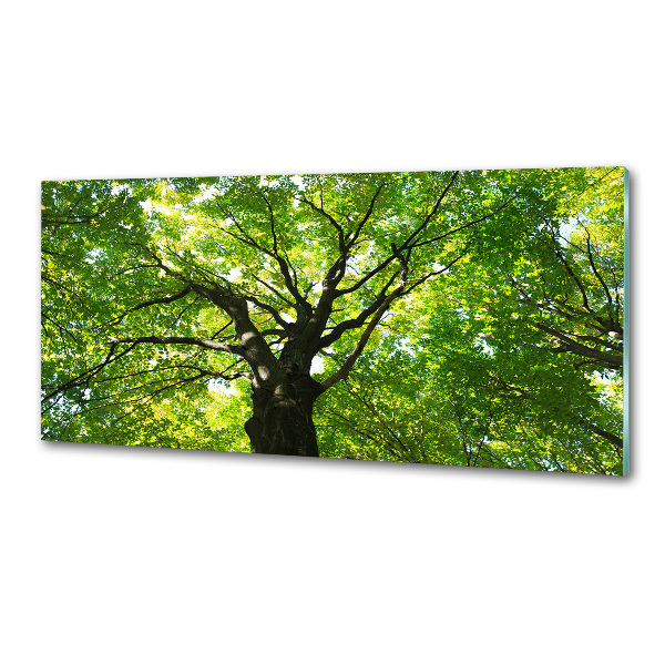 Dekoračný panel sklo Zelený les