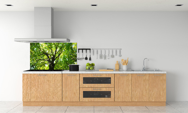 Dekoračný panel sklo Zelený les