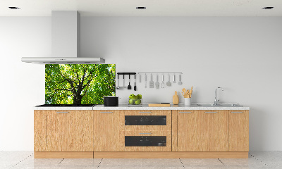 Dekoračný panel sklo Zelený les
