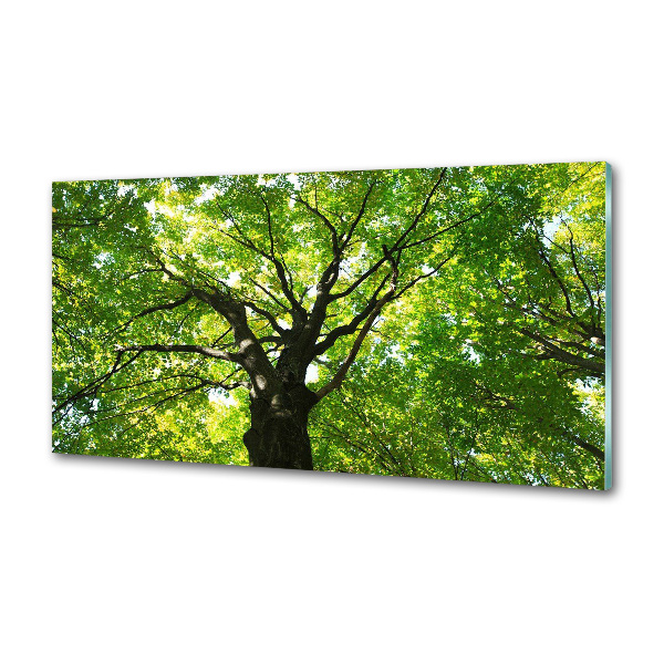 Dekoračný panel sklo Zelený les