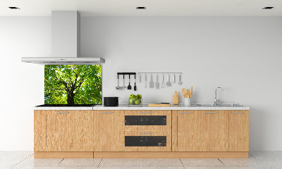 Dekoračný panel sklo Zelený les