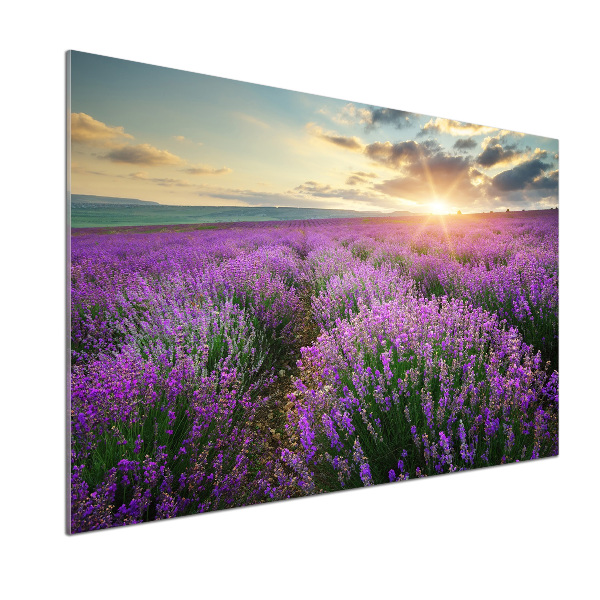 Dekoračný panel sklo Pole levanduľa