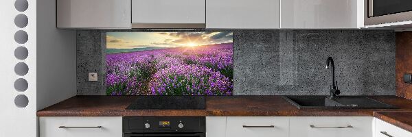 Dekoračný panel sklo Pole levanduľa