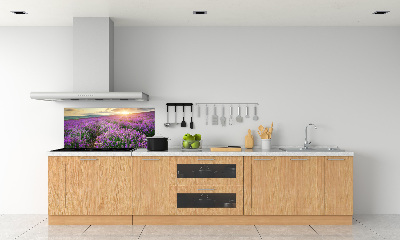 Dekoračný panel sklo Pole levanduľa