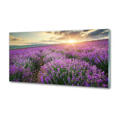 Dekoračný panel sklo Pole levanduľa