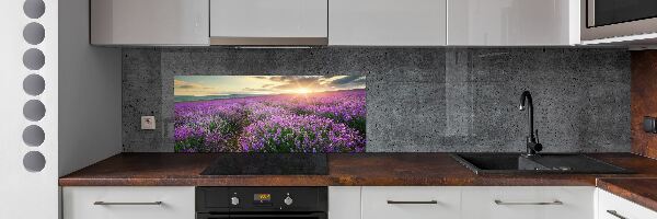 Dekoračný panel sklo Pole levanduľa