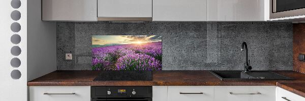 Dekoračný panel sklo Pole levanduľa