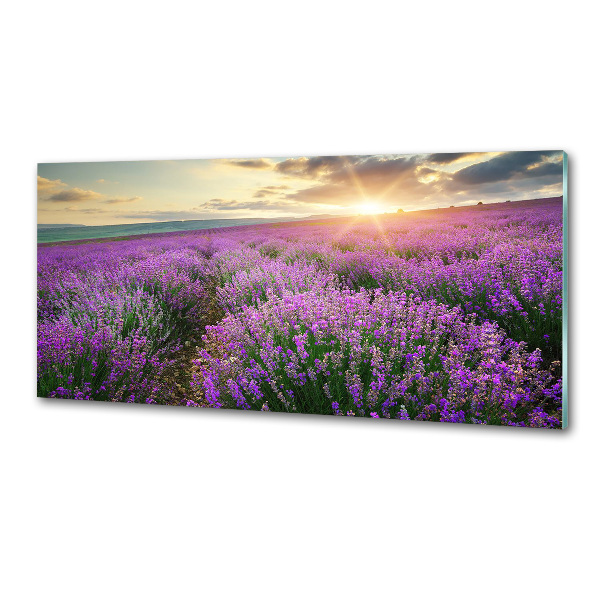 Dekoračný panel sklo Pole levanduľa