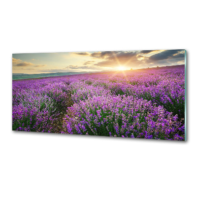 Dekoračný panel sklo Pole levanduľa
