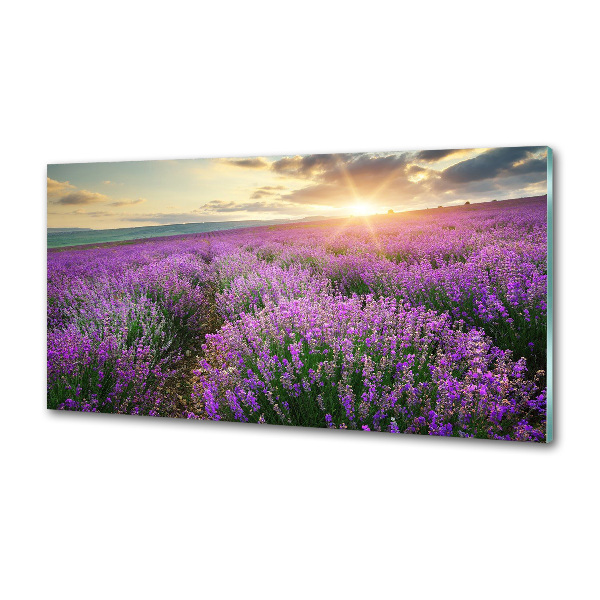 Dekoračný panel sklo Pole levanduľa