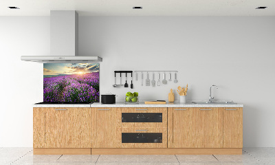 Dekoračný panel sklo Pole levanduľa