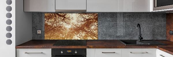 Panel tvrdené sklo do kuchyne Les