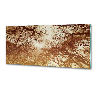 Panel tvrdené sklo do kuchyne Les
