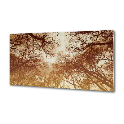 Panel tvrdené sklo do kuchyne Les