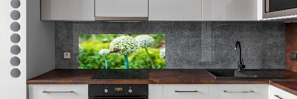 Panel do kuchyne Kvitnúcy cesnak