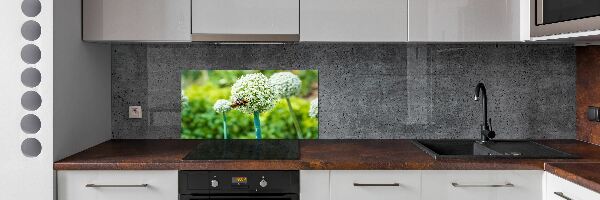 Panel do kuchyne Kvitnúcy cesnak