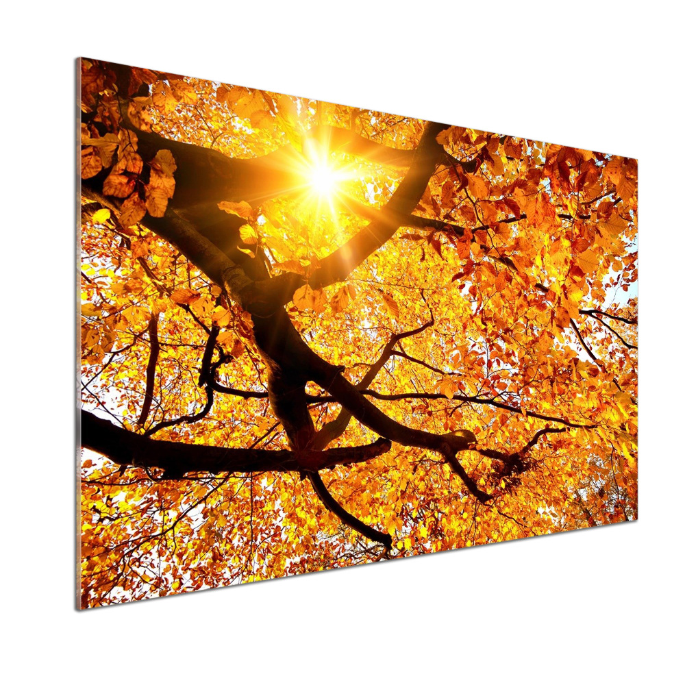 Panel lacobel Koruna stromov jeseň