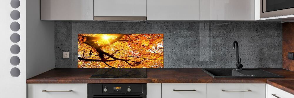 Panel lacobel Koruna stromov jeseň