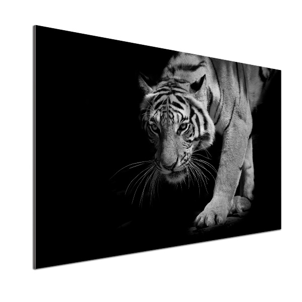 Sklenený panel do kuchyne Tiger