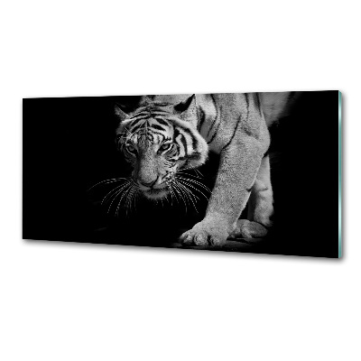 Sklenený panel do kuchyne Tiger