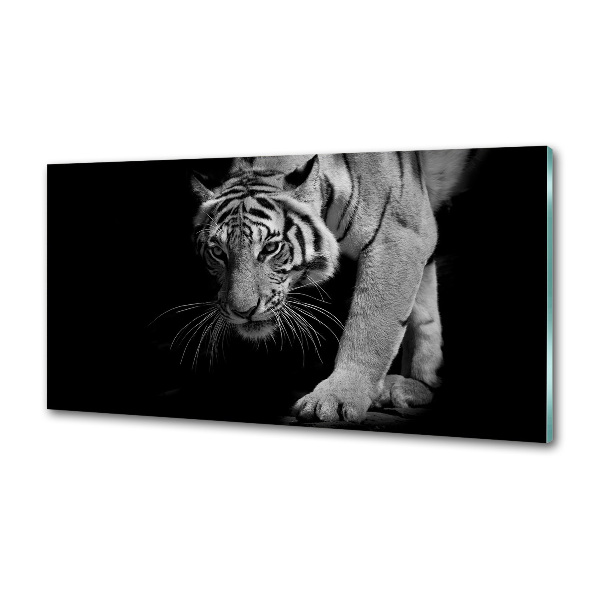Sklenený panel do kuchyne Tiger