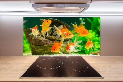 Dekoračný panel sklo Zlaté rybky