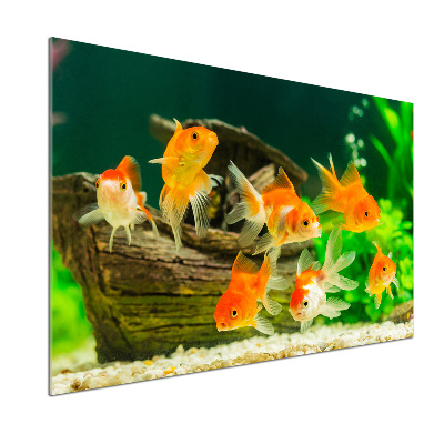 Dekoračný panel sklo Zlaté rybky