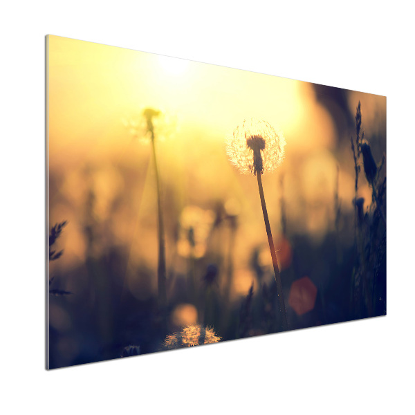 Dekoračný panel sklo Púpava