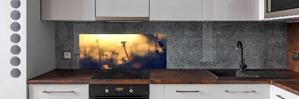 Dekoračný panel sklo Púpava