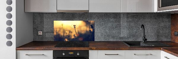 Dekoračný panel sklo Púpava