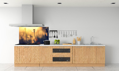 Dekoračný panel sklo Púpava