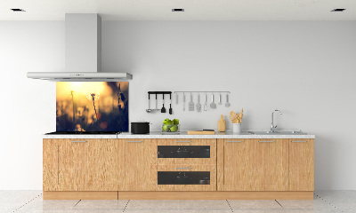 Dekoračný panel sklo Púpava