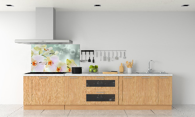 Panel do kuchyne Biela orchidea