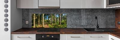 Panel do kuchyne Lesné panorama