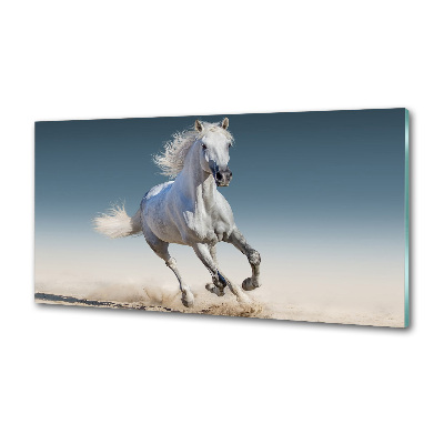 Panel lacobel Biely kôň v cvale