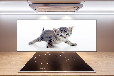 Sklenený panel do kuchynskej linky Malá mačka