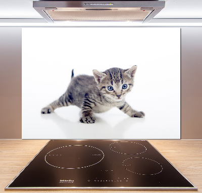 Sklenený panel do kuchynskej linky Malá mačka