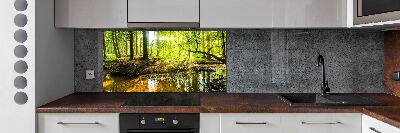 Panel do kuchyne Rybník v lese