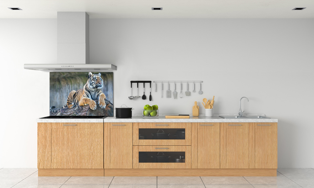 Sklenený panel do kuchyne Tiger
