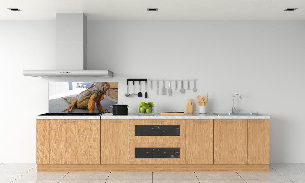 Sklenený panel do kuchyne Iguana