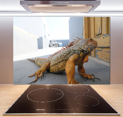 Sklenený panel do kuchyne Iguana
