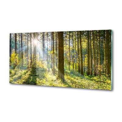 Dekoračný panel sklo Les slnko
