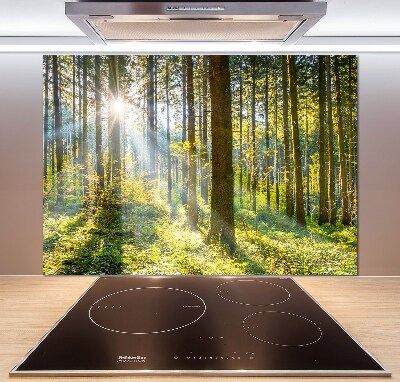 Dekoračný panel sklo Les slnko