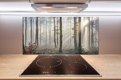 Dekoračný panel sklo Hmla v lese