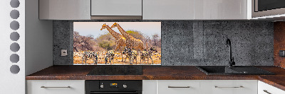 Panel do kuchyne Žieravé a zebry