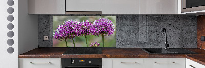 Panel do kuchyne Kvet cesnaku