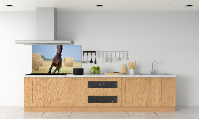 Panel do kuchyne Kôň v cvale